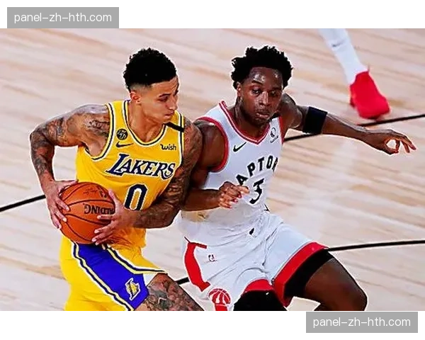 战术板：复盘湖人连胜——哈姆如何通过“盯人-区域”混合防守激活锋线群